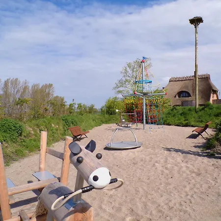 Reetdorf Geltinger Birk Atelierhaus Schilfgras Nieby (Nieby, Schleswig-Flensburg)